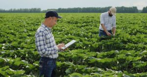 crop management practices