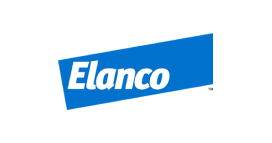 Frame-1410085436 (1)