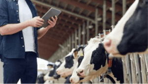 Cattle Record Keeping