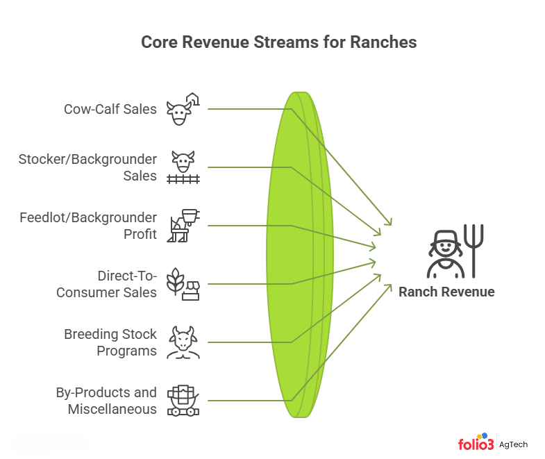 How Do cattle Ranching Makes Money