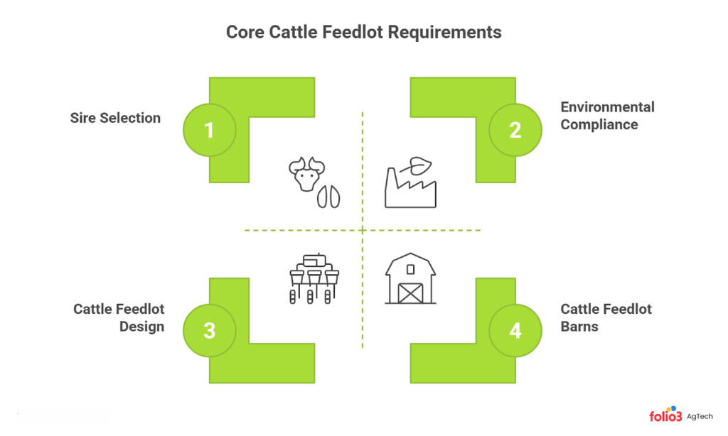 core cattle feedlot requirements