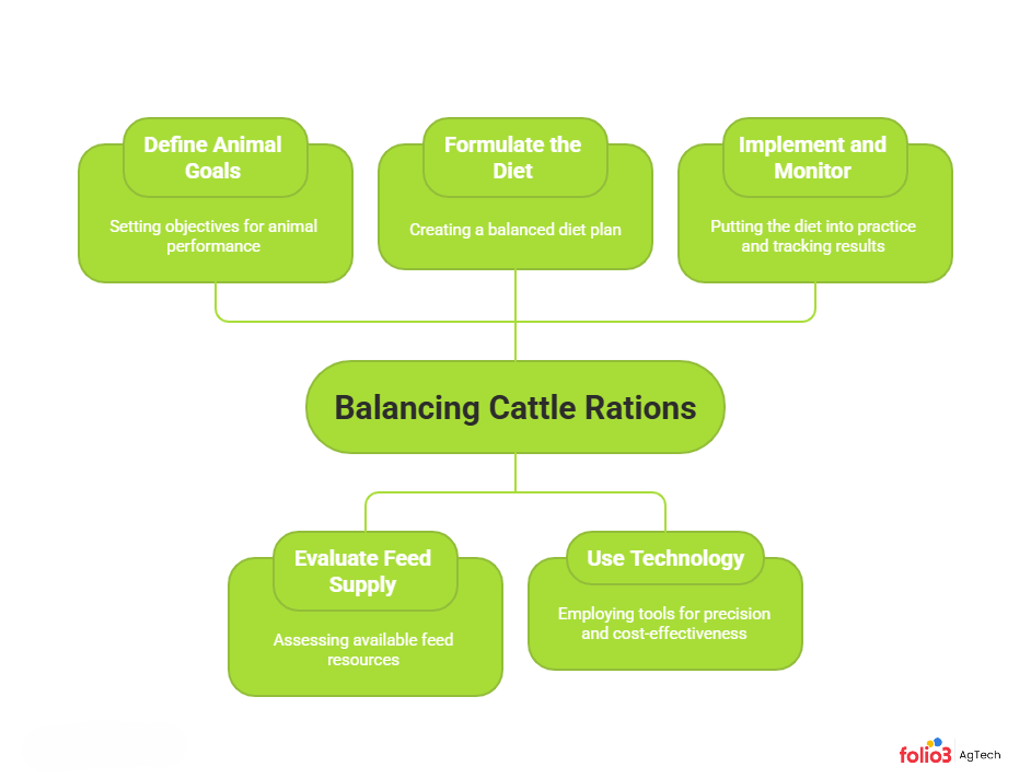 Balance Cattle Feed Ration