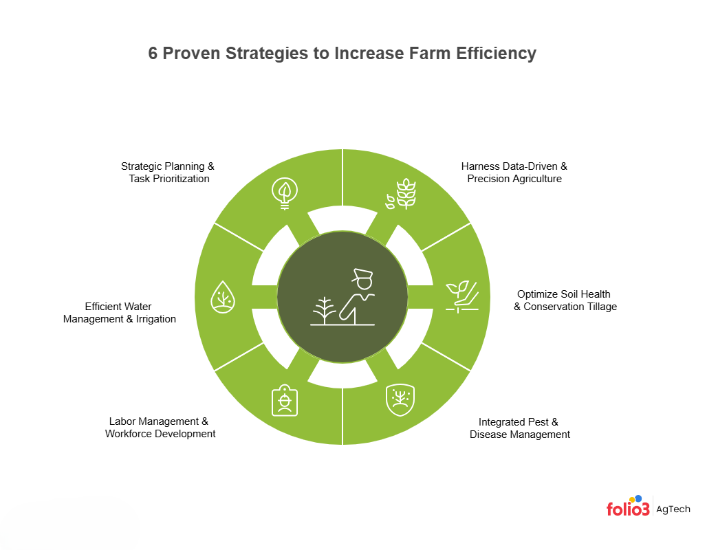 6 strategies to increase farm efficiency