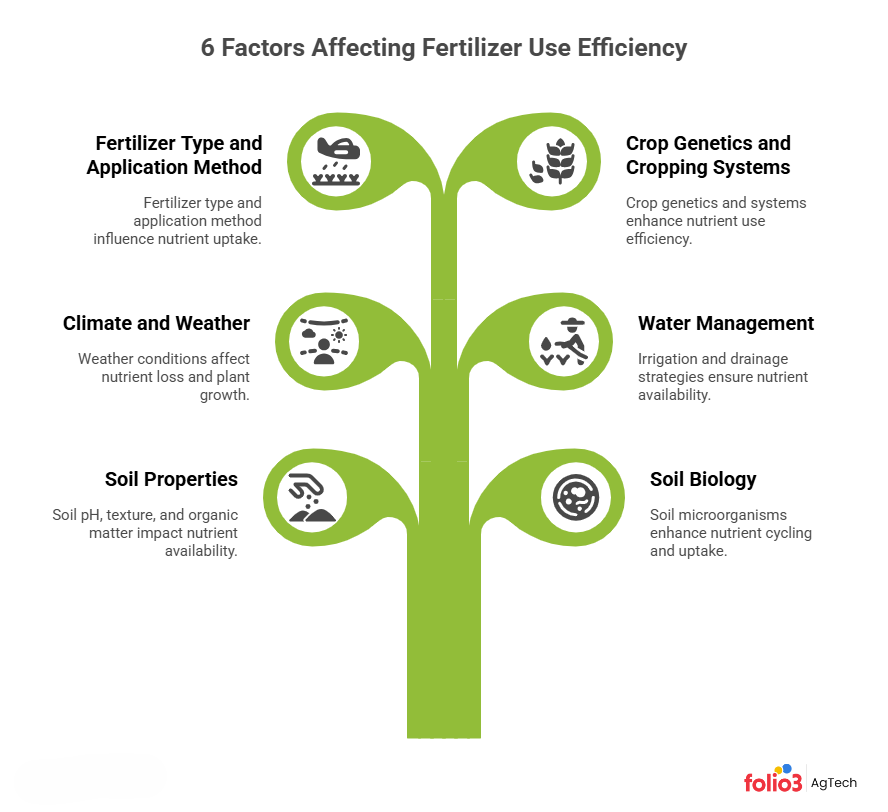 Factors Affecting Fertilizer Use Efficiency