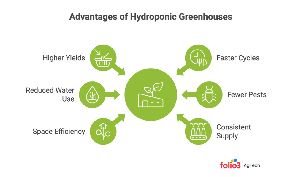 Hydroponic Greenhouses Advantages