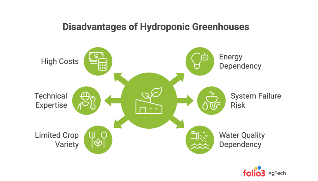 Hydroponic Greenhouses Disadvantages