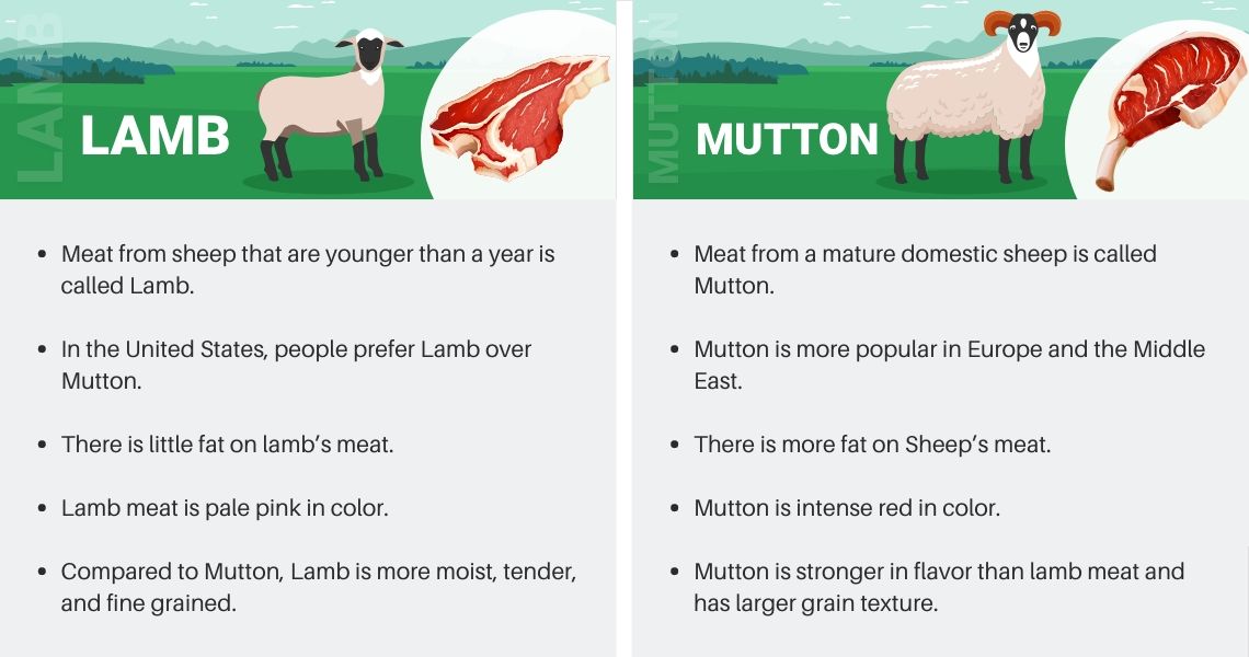 Lamb vs Sheep Lamb vs Sheep