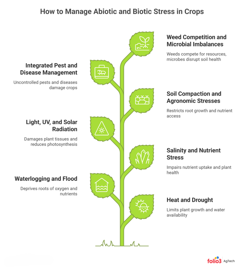 Biotic Stress in Crops