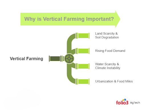 Why is Vertical Farming Important?