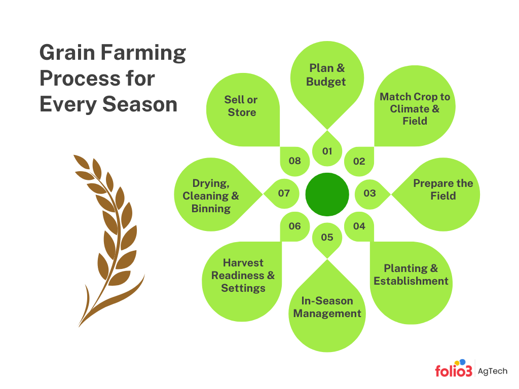 grain farming process for every season