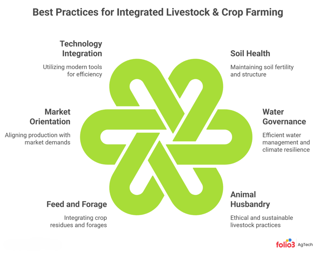 Best Practices to Ensure Livestock and Crop Farming
