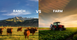 ranch vs farm