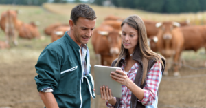 cattle marketing strategies