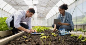 Horticulture vs Agriculture