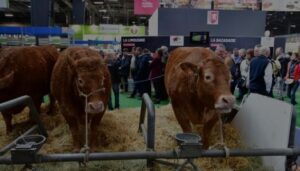 NCBA Convention 2020