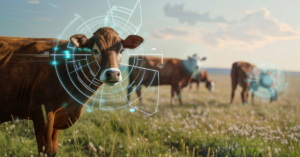 IoT sensors in agriculture
