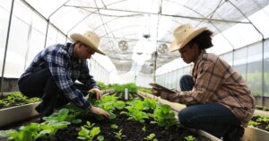 Vapor pressure deficit