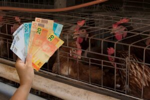cost to start a poultry farm