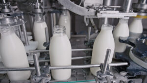milk homogenization