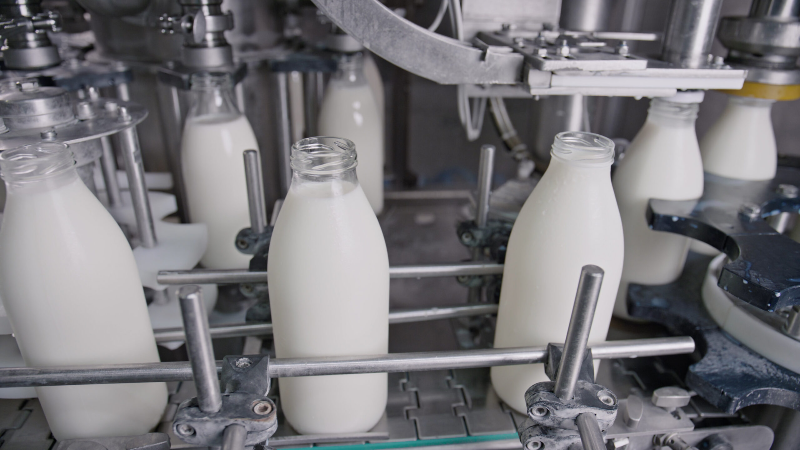 milk homogenization