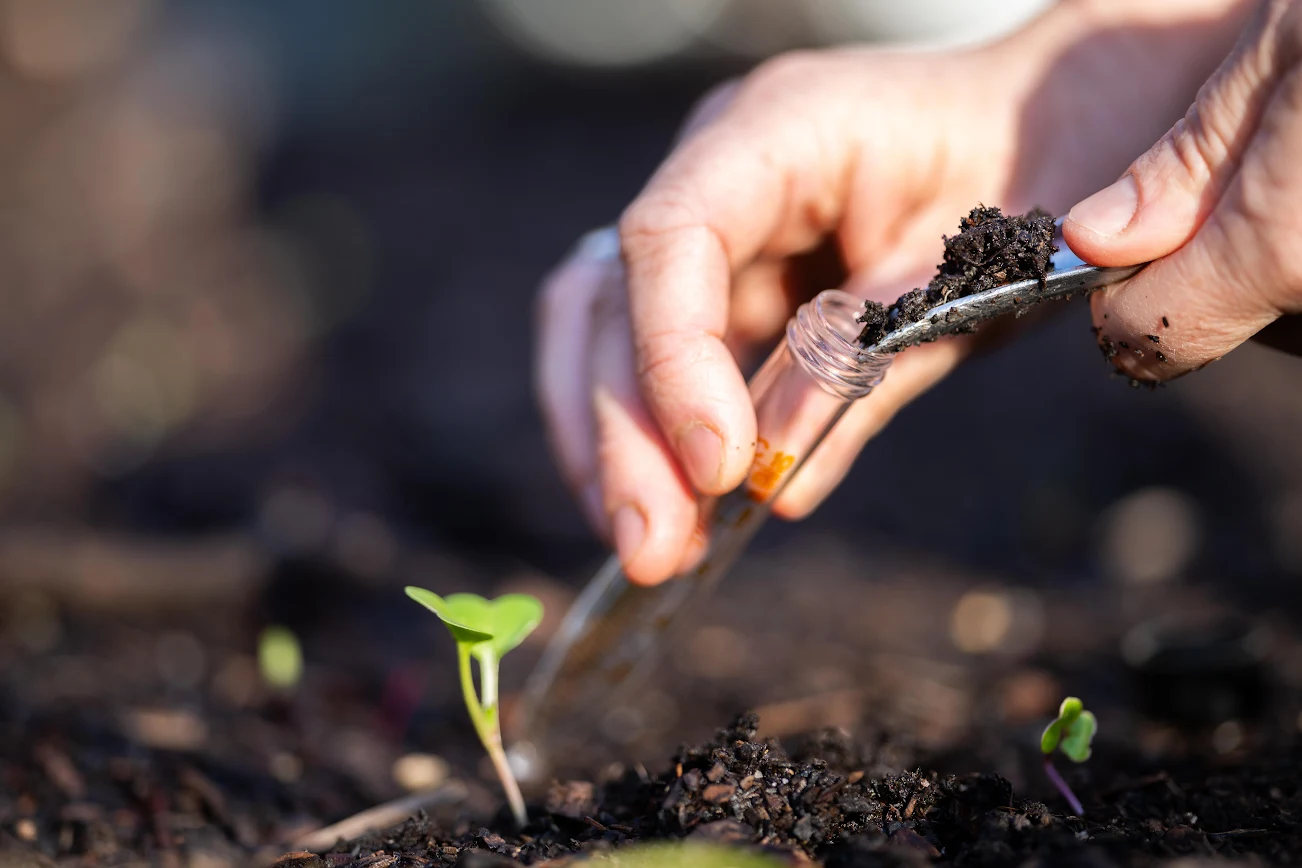 Regenerative Soil Practices