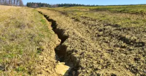 Soil Erosion Control