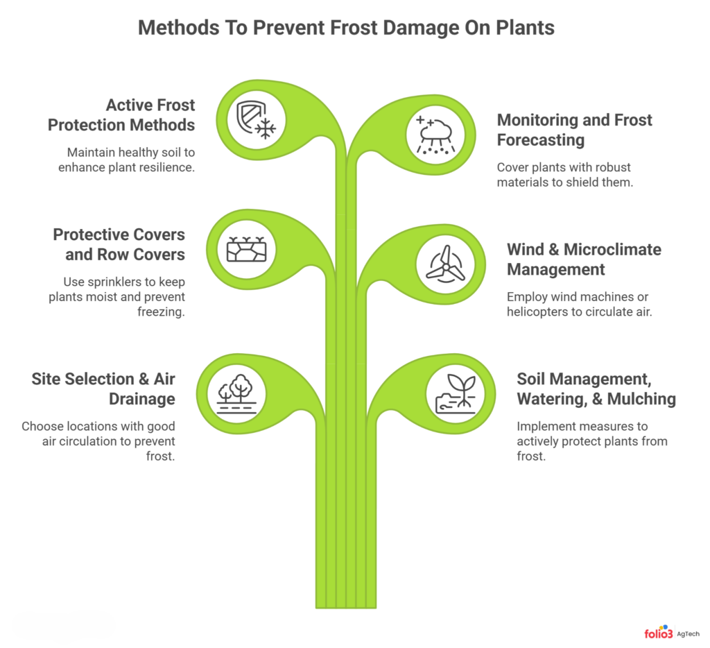 Proactive Agronomy: How to Prevent Frost Damage on Plants