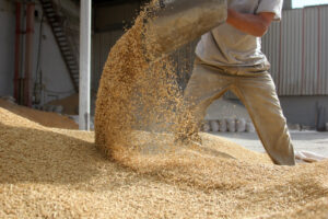 Ultimate Guide to Feed Formulation