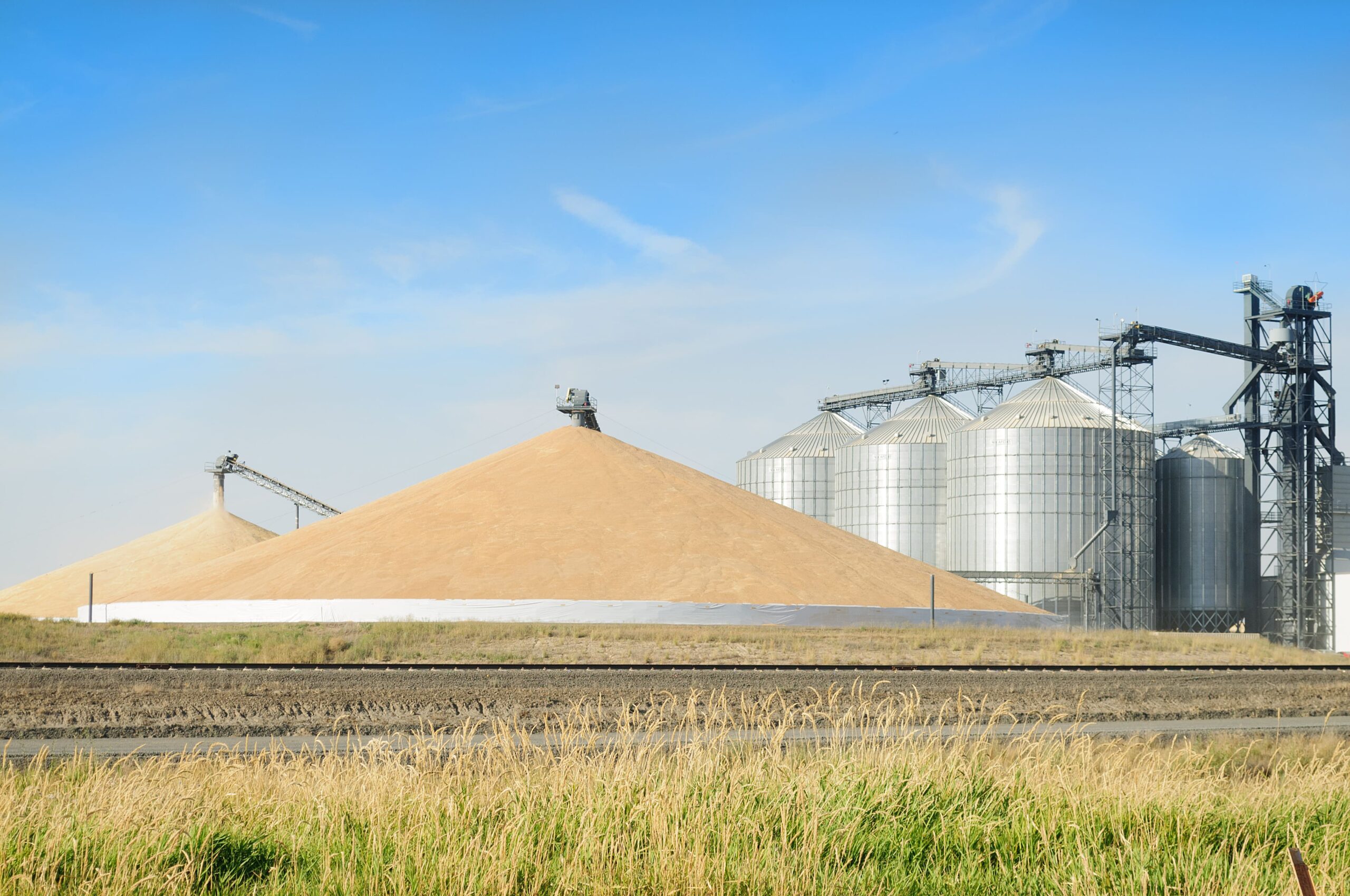 agricultural Cooperatives