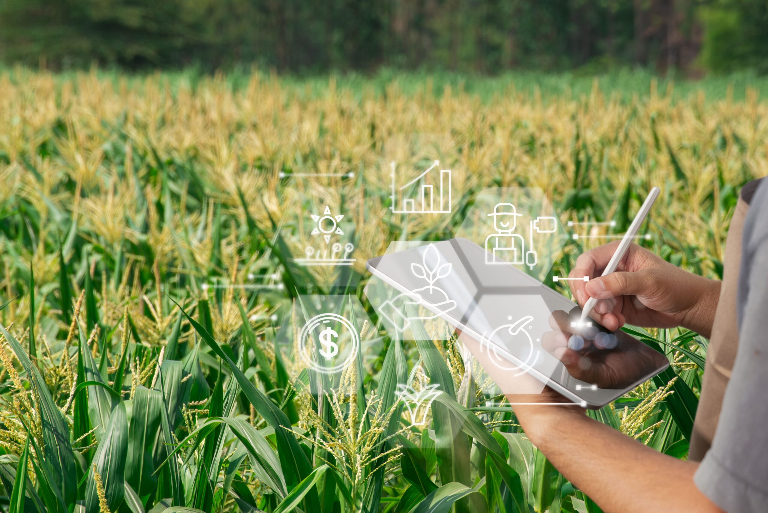 Agriculture Data Management