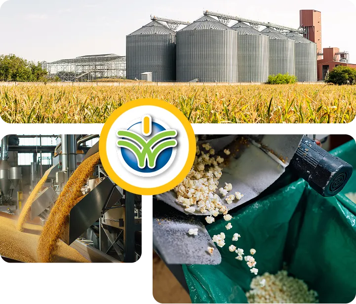 Running a Seed Business on Spreadsheets and a Legacy System