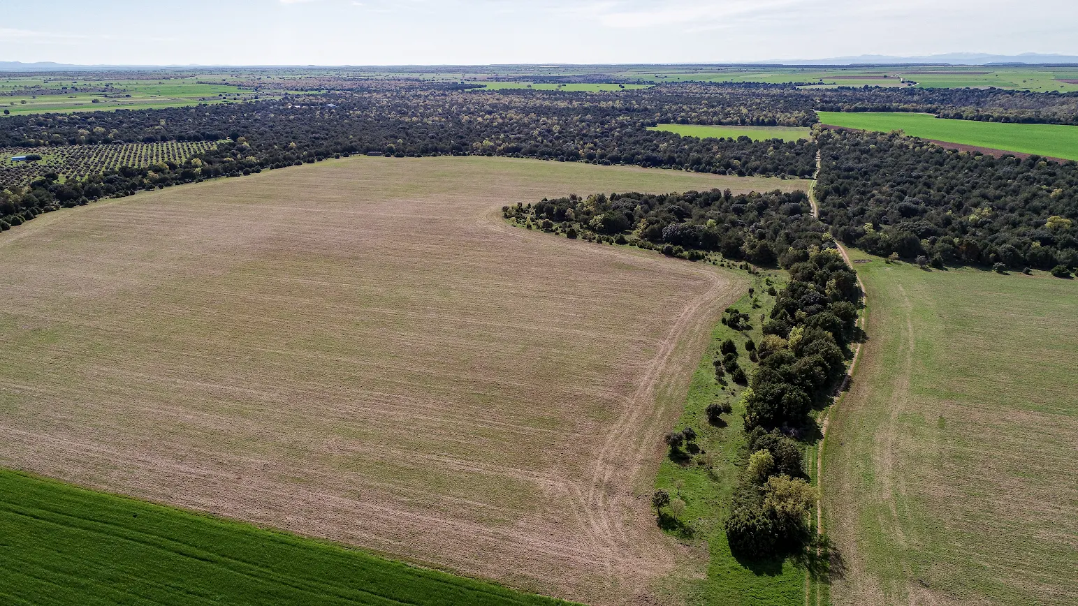 agroforestry benefits