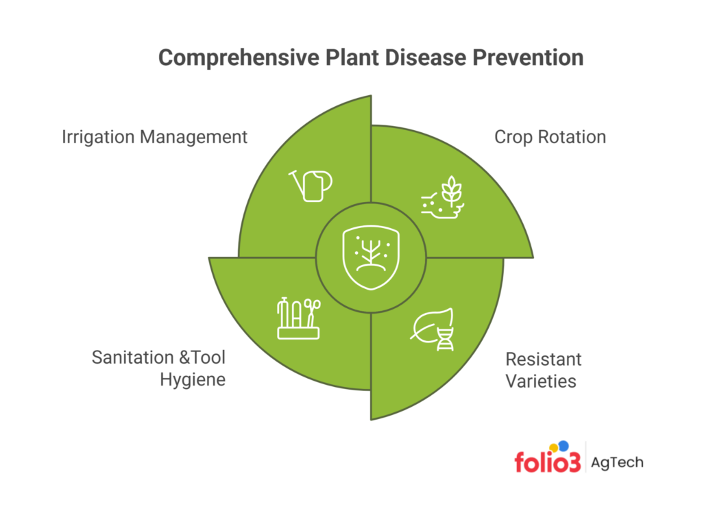 Practical Prevention Strategies for Plant Diseases