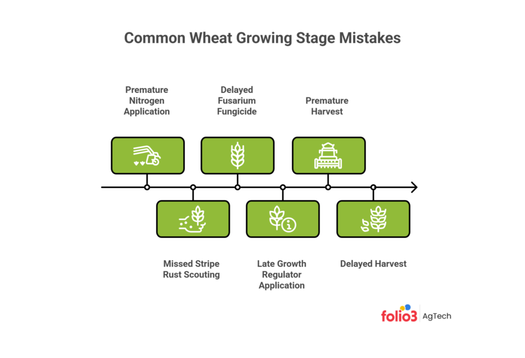 Common Mistakes Farmers Make Across Wheat Growing Stages
