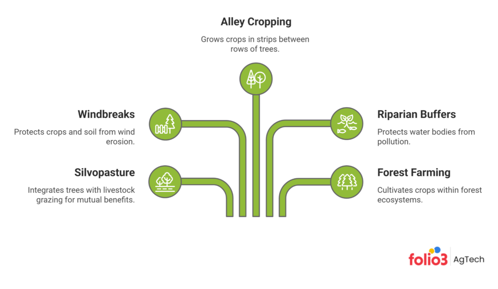 Five Agroforestry Practices and Their Specific Benefits
