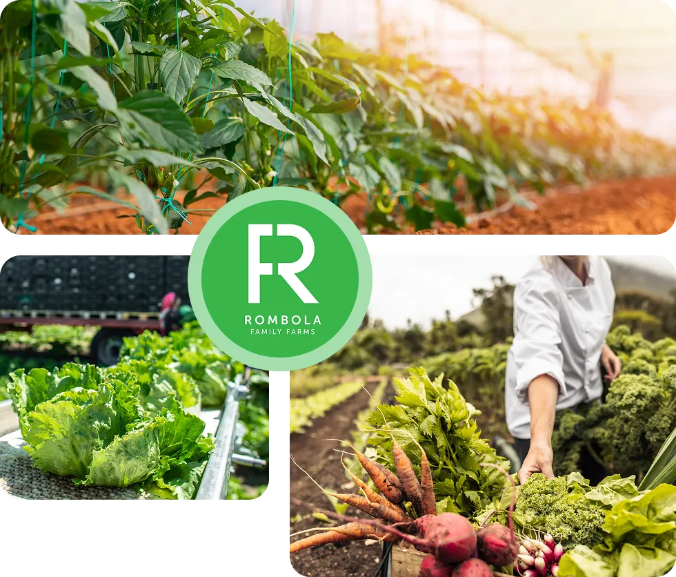 A Growing Horticulture Business Running on Systems That Could Not Keep Up
