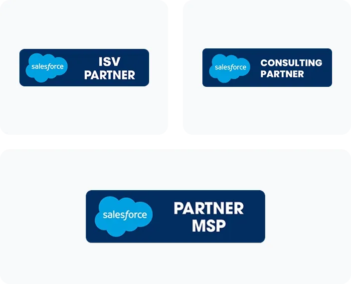 saleforce partner