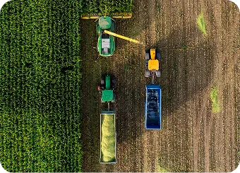 Crop & Farming