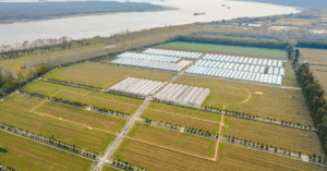 vertical integration in agriculture
