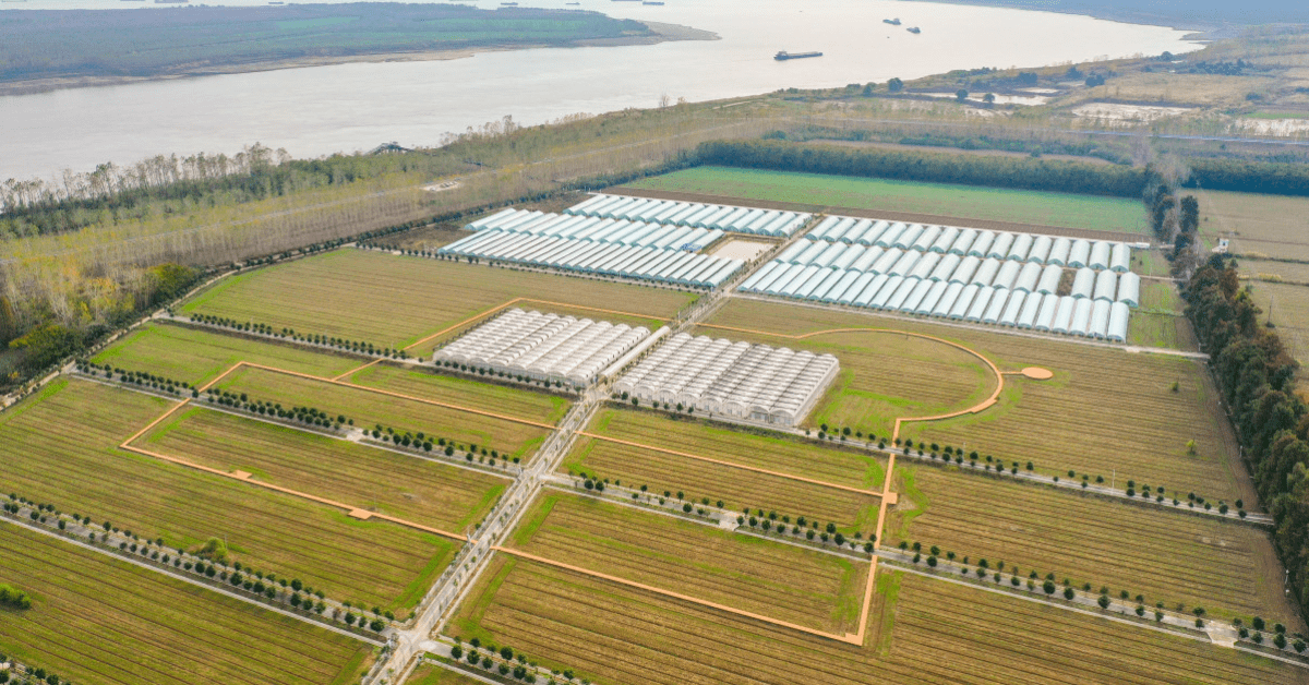 vertical integration in agriculture